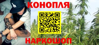 ALPHA PVP Камышлов