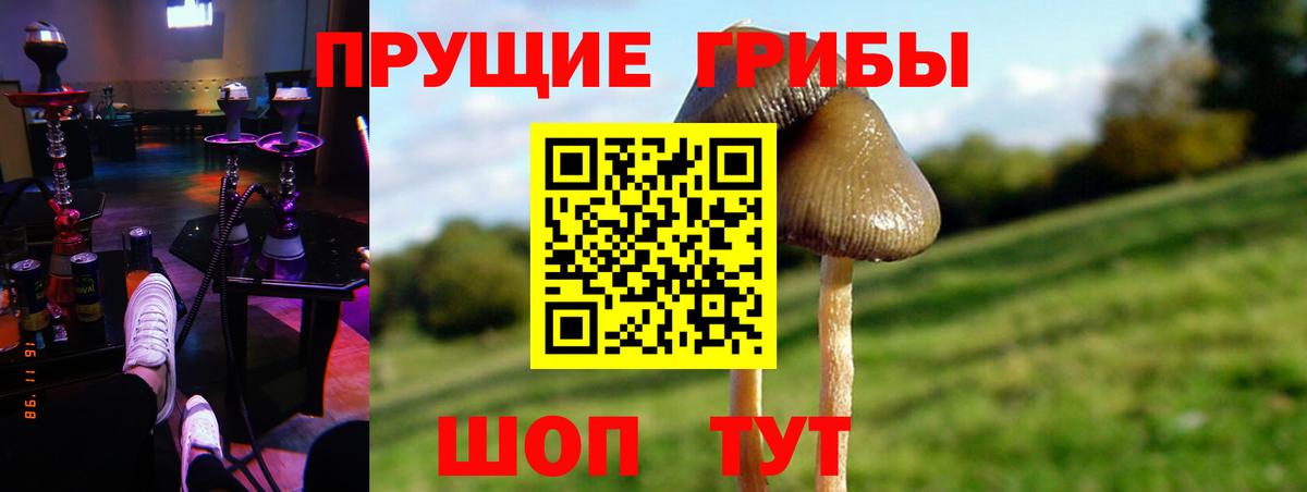 Благовещенск  Псилоцибиновые грибы прущие грибы  что такое наркотик  Вход с VPN 